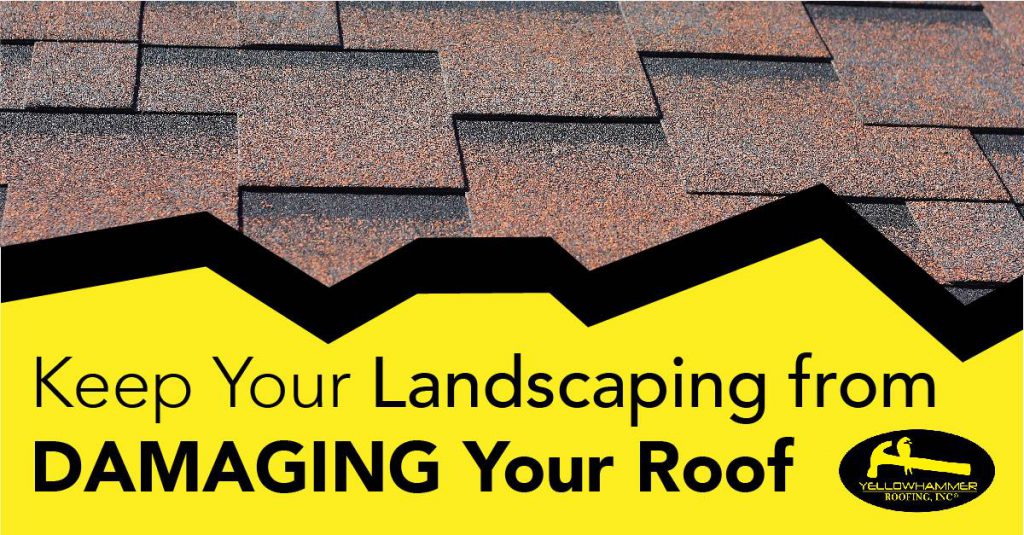 How to Keep Your Landscaping from Damaging Your Roof