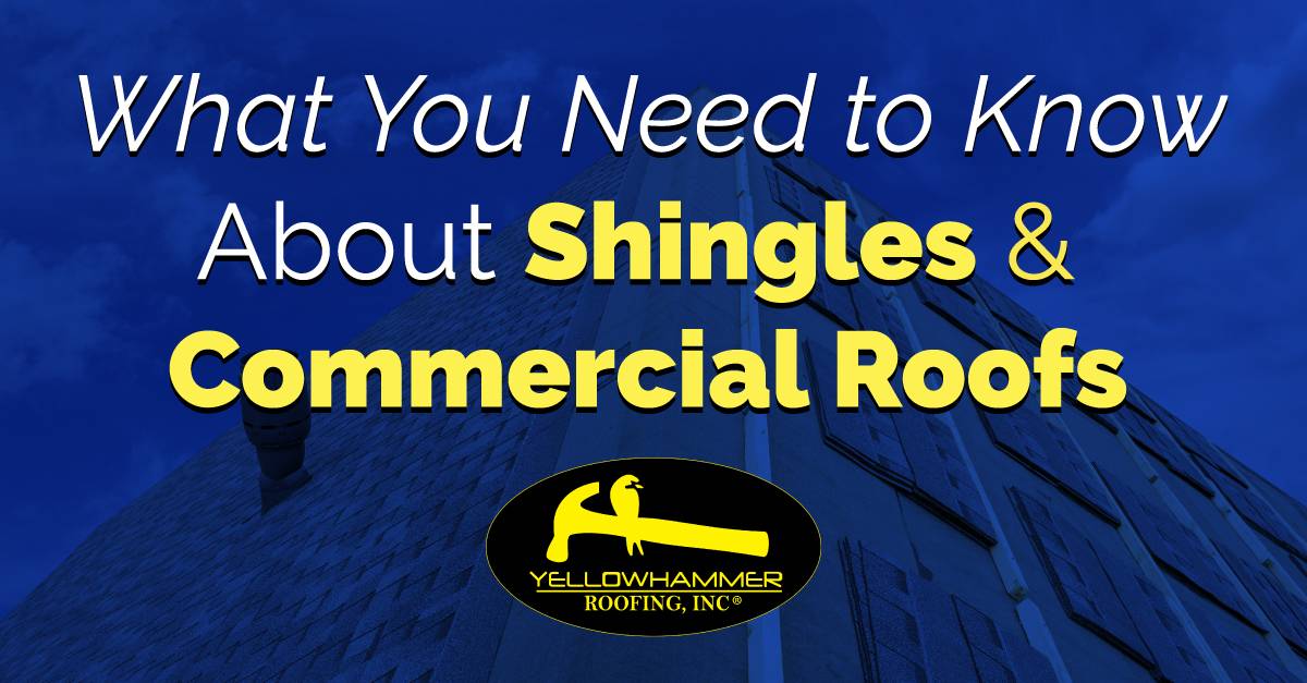 What You Need to Know About Shingles and Commercial Roofs
