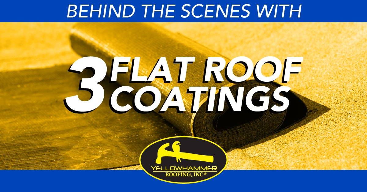 Behind The Scenes With 3 Flat Roof Coatings