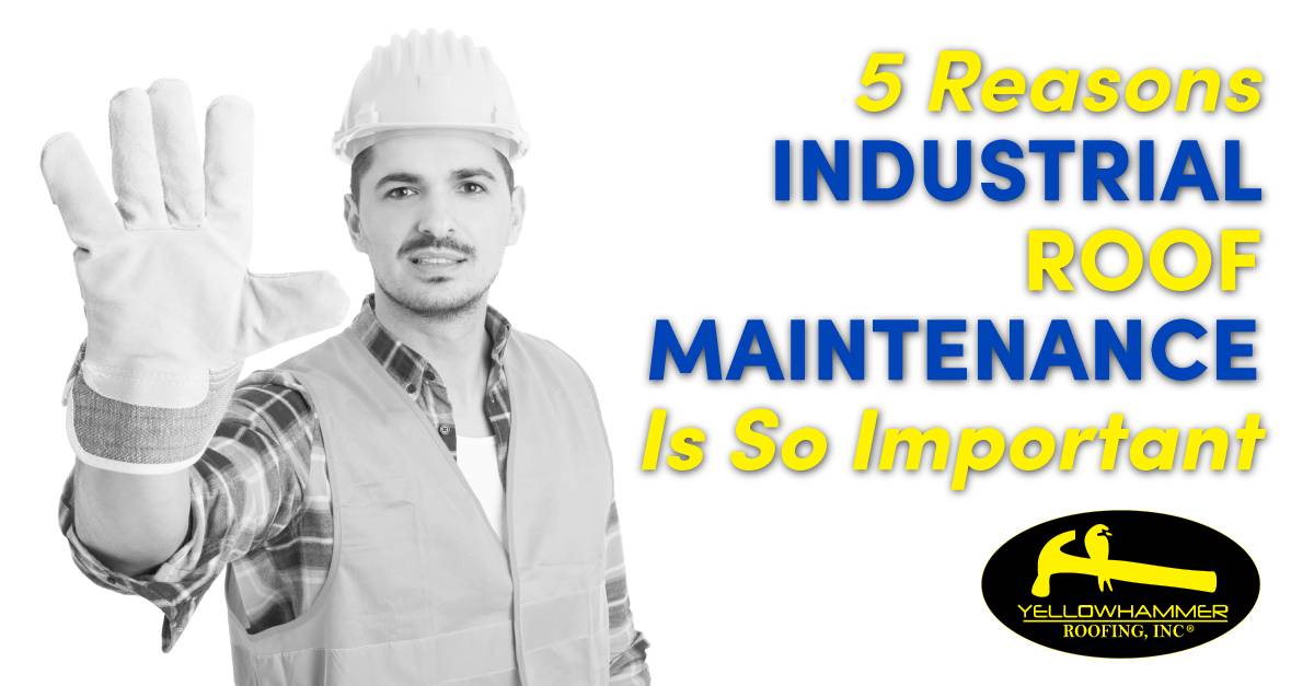 5 Reasons Industrial Roof Maintenance Is So Important