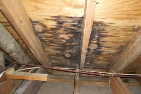 Interior look of roof damage