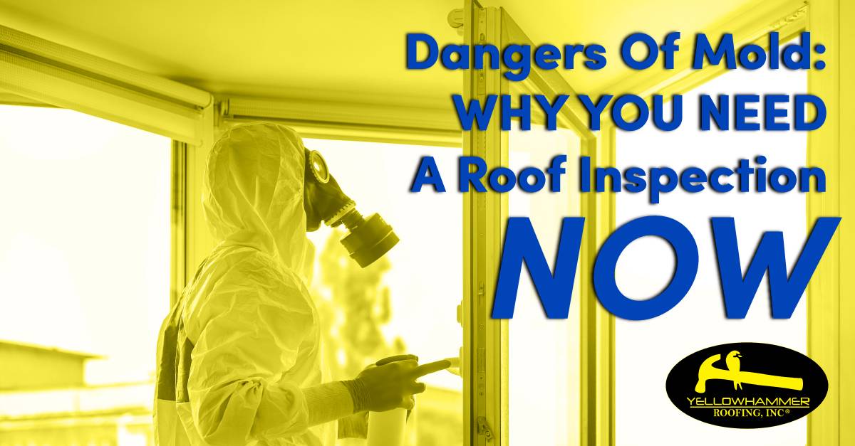 Dangers Of Mold: Why You Need A Roof Inspection NOW