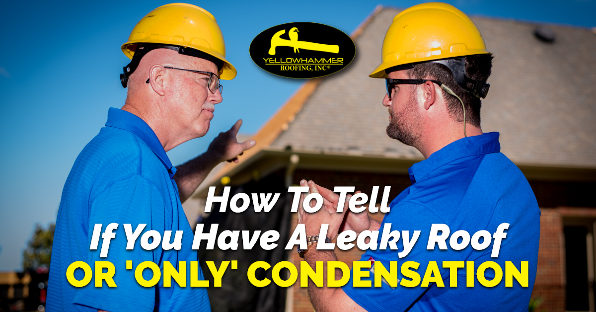 How To Tell If You Have A Leaky Roof Or ‘Only’ Condensation