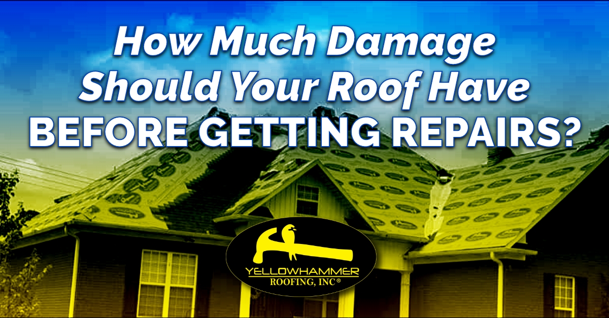 How Much Damage Should Your Roof Have Before Getting Repairs?