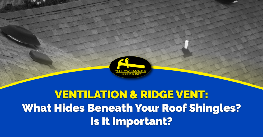 Ventilation & Ridge Vent: What Hides Beneath Your Roof Shingles? Is It Important?