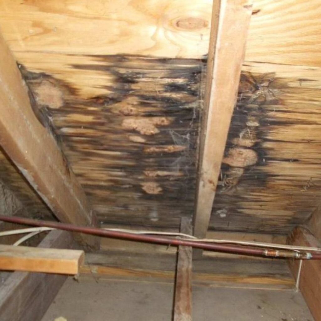 Evidence of a roof leak inside your attic